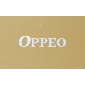 http://www.oppeoholdings.com/163-310-thickbox/oppeo-fiber-cement-cladding-panel.jpg
