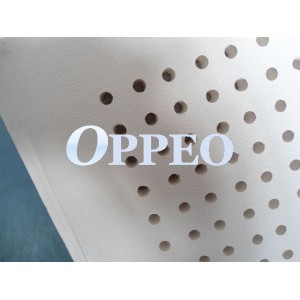 http://www.oppeoholdings.com/62-158-thickbox/pvc-perforated-gypsum-ceiling.jpg