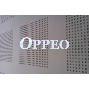 http://www.oppeoholdings.com/73-179-thickbox/perforated-acoustic-mgo-ceiling.jpg