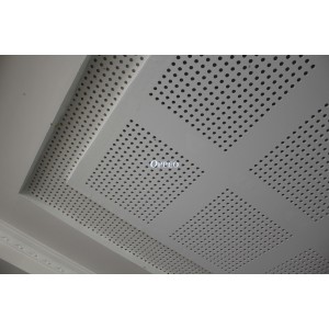 http://www.oppeoholdings.com/89-196-thickbox/seamless-perforated-gypsum-ceiling.jpg